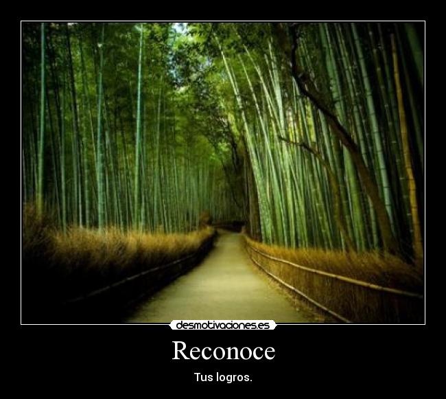 Reconoce - Tus logros.