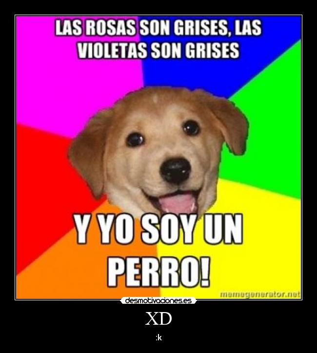 XD - :k