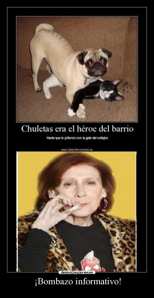 ¡Bombazo informativo! - 