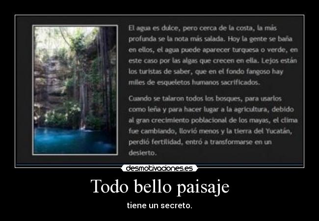 carteles meto ahi desmotivaciones