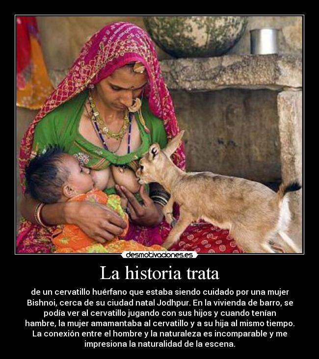 La historia trata -