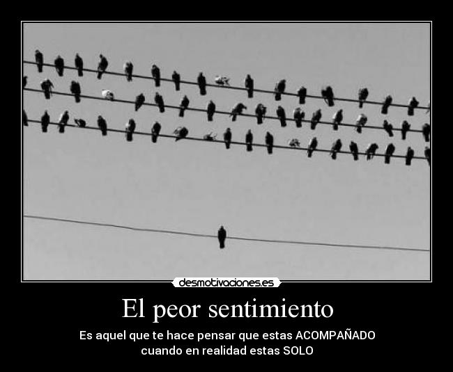 El peor sentimiento - 