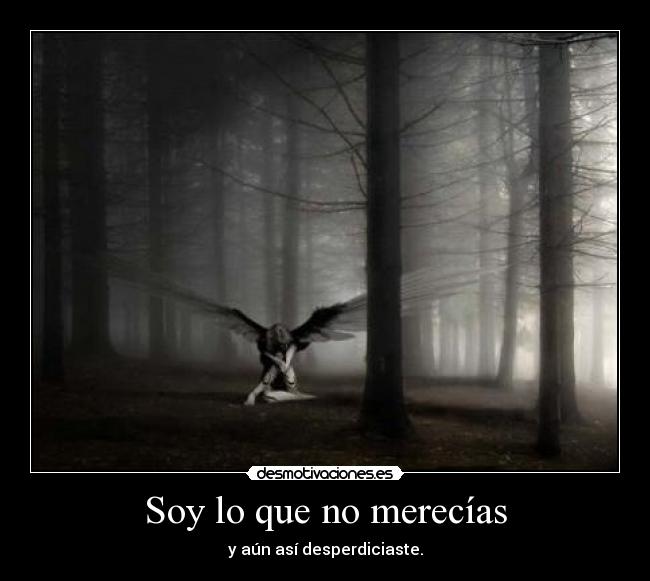 Soy lo que no merecías - y aún así desperdiciaste.
