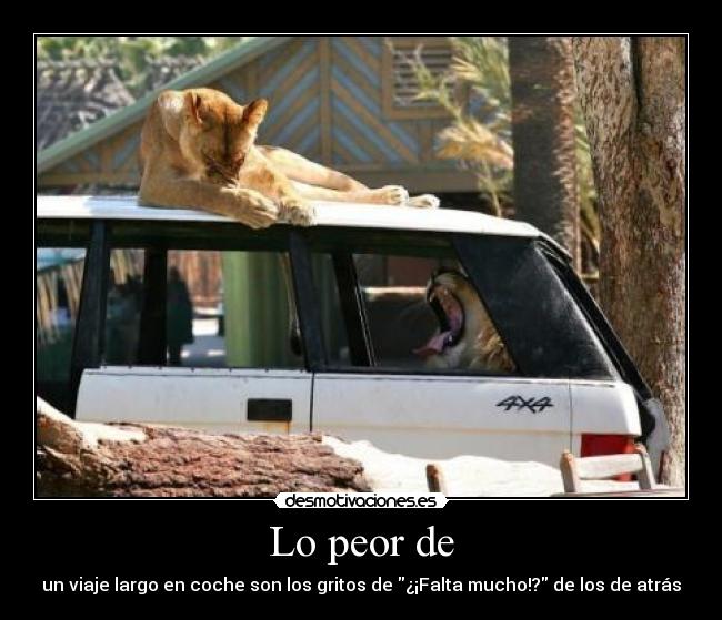 Lo peor de - un viaje largo en coche son los gritos de ¿¡Falta mucho!? de los de atrás