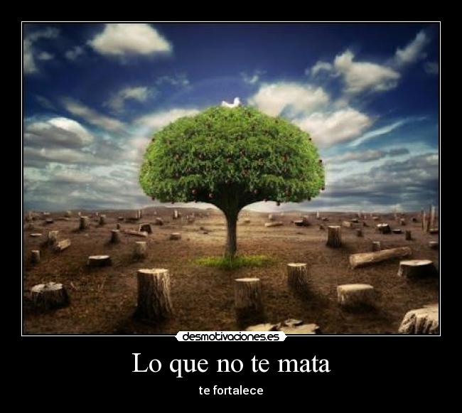 Lo que no te mata - te fortalece