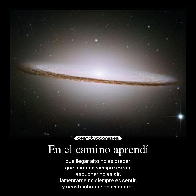 En el camino aprendí -