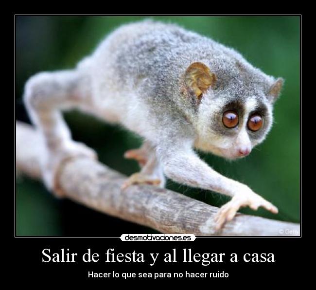 Salir de fiesta y al llegar a casa -