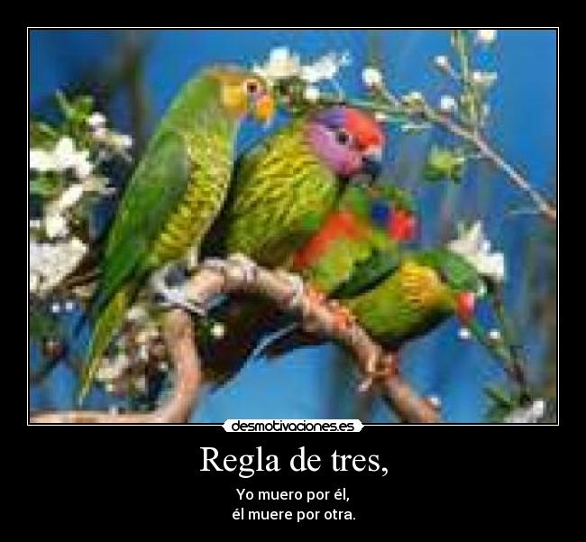 carteles regla tres desmotivaciones