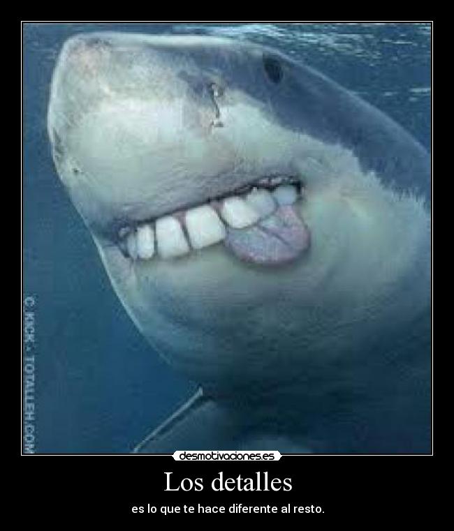 Los detalles - 