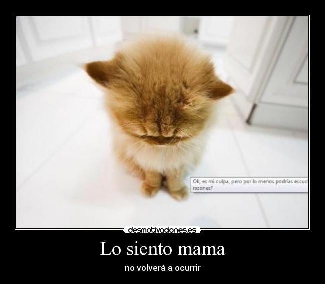Lo siento mama - no volverá a ocurrir