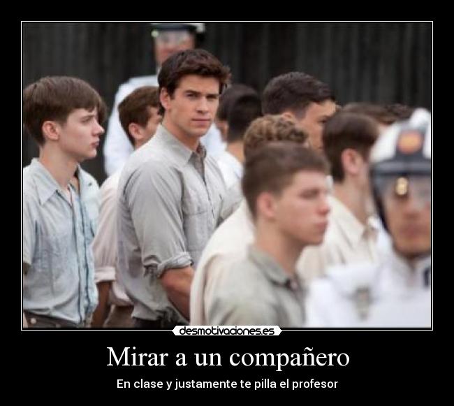 Mirar a un compañero - 