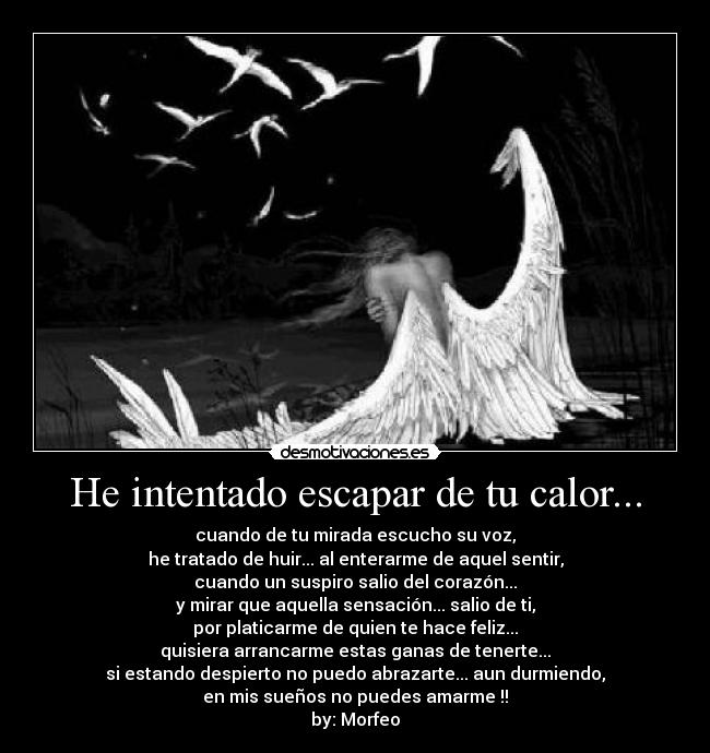 He intentado escapar de tu calor... - cuando de tu mirada escucho su voz,
he tratado de huir... al enterarme de aquel sentir,
cuando un suspiro salio del corazón...
y mirar que aquella sensación... salio de ti,
por platicarme de quien te hace feliz...
quisiera arrancarme estas ganas de tenerte...
si estando despierto no puedo abrazarte... aun durmiendo,
en mis sueños no puedes amarme !!
by: Morfeo