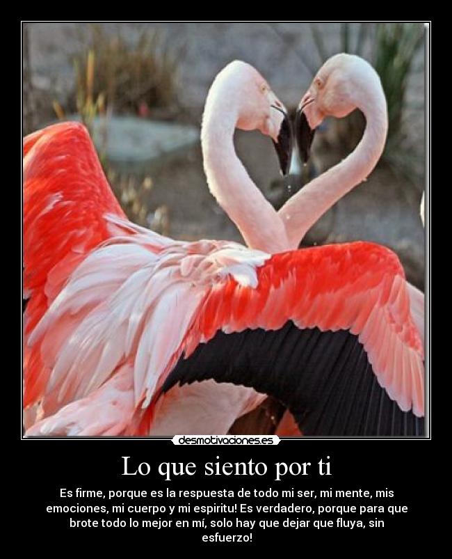 Lo que siento por ti - Es firme, porque es la respuesta de todo mi ser, mi mente, mis
emociones, mi cuerpo y mi espiritu! Es verdadero, porque para que
brote todo lo mejor en mí, solo hay que dejar que fluya, sin
esfuerzo!
