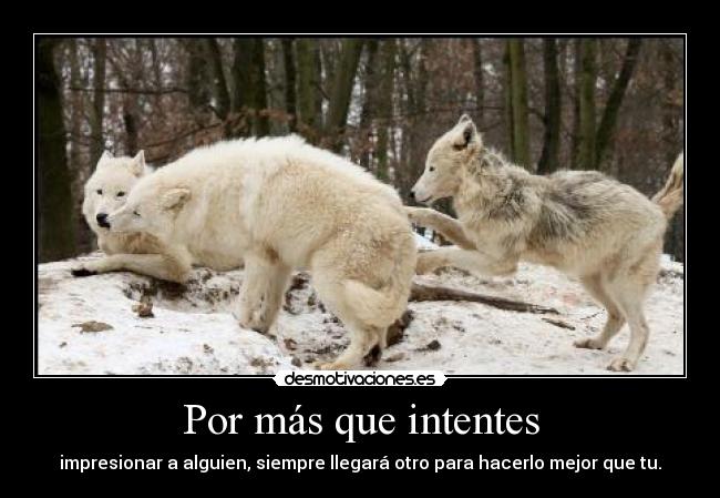 Por más que intentes - 