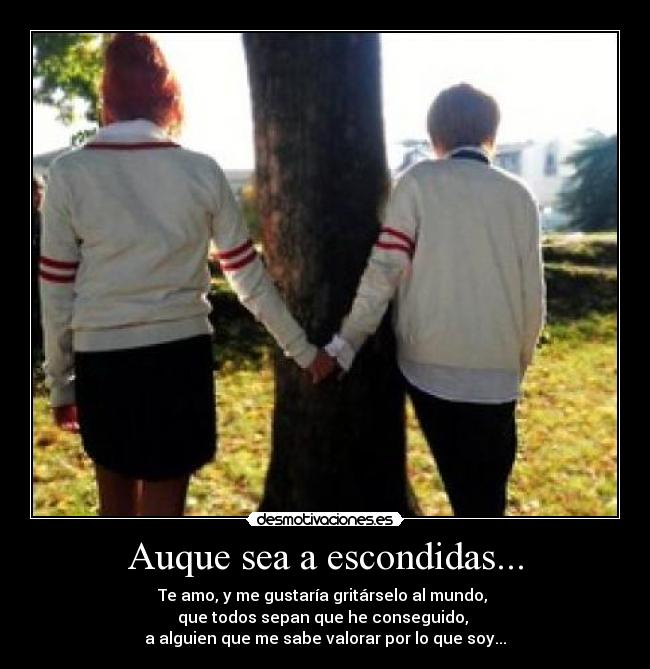 Auque sea a escondidas... - Te amo, y me gustaría gritárselo al mundo, 
que todos sepan que he conseguido, 
a alguien que me sabe valorar por lo que soy...