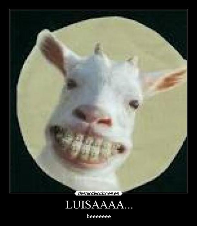 LUISAAAA... -