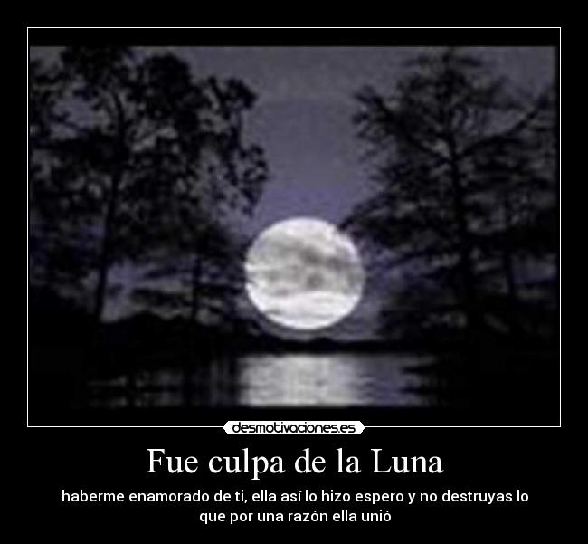 carteles franleymis steffany desmotivaciones