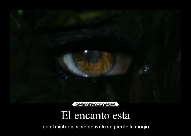 El encanto esta - en el misterio, si se desvela se pierde la magia