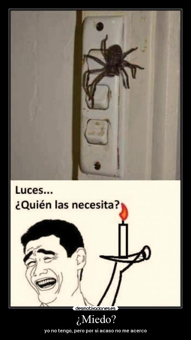 ¿Miedo? - yo no tengo, pero por si acaso no me acerco