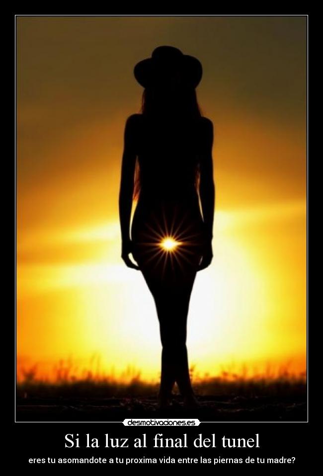 Si la luz al final del tunel - eres tu asomandote a tu proxima vida entre las piernas de tu madre?