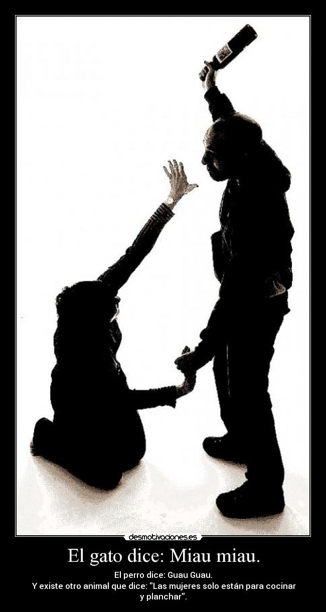 El gato dice: Miau miau. - 