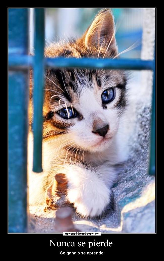 Nunca se pierde. - Se gana o se aprende.