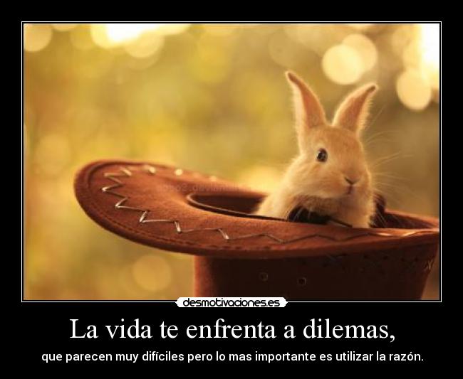 La vida te enfrenta a dilemas, - 