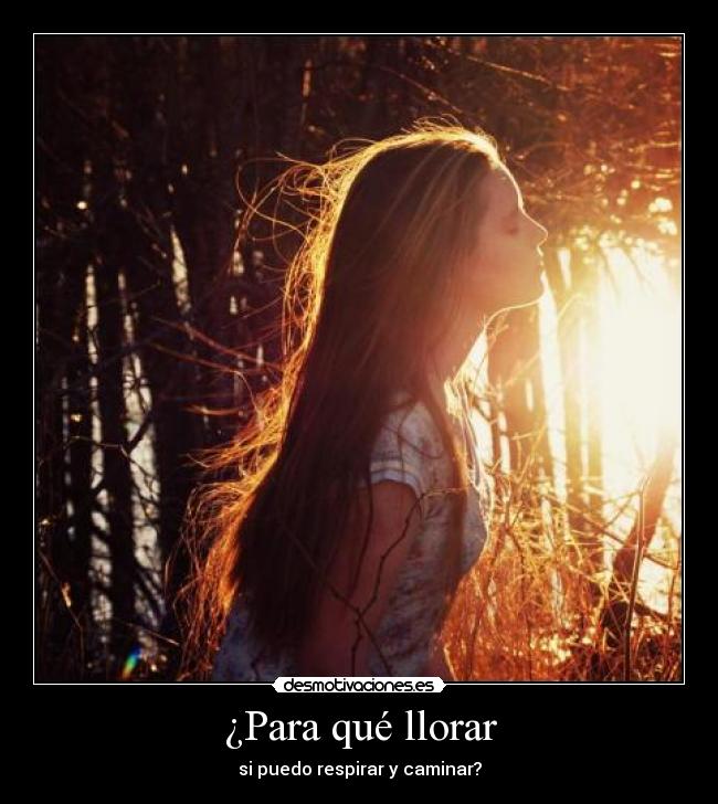 ¿Para qué llorar -