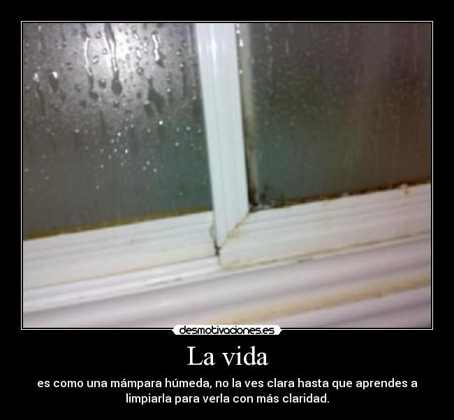 La vida - es como una mámpara húmeda, no la ves clara hasta que aprendes a
limpiarla para verla con más claridad.
