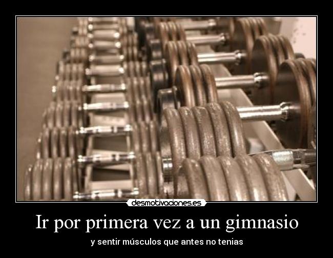 Ir por primera vez a un gimnasio - y sentir músculos que antes no tenias