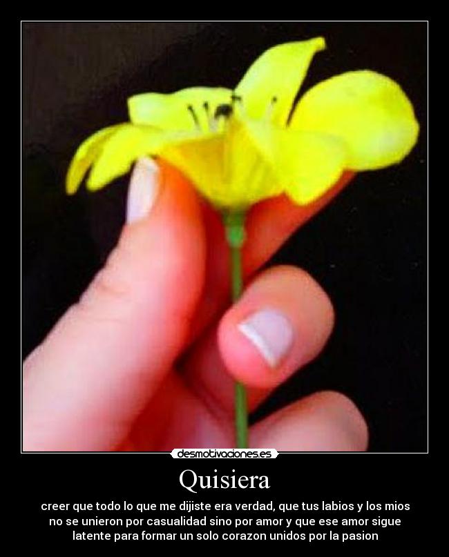 Quisiera - creer que todo lo que me dijiste era verdad, que tus labios y los mios
no se unieron por casualidad sino por amor y que ese amor sigue
latente para formar un solo corazon unidos por la pasion