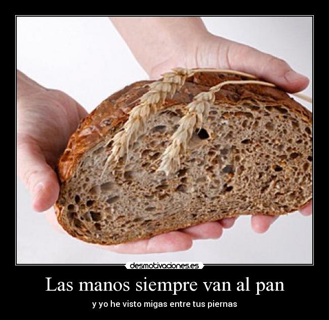 Las manos siempre van al pan Desmotivaciones Las manos siempre van al pan Desmotivaciones