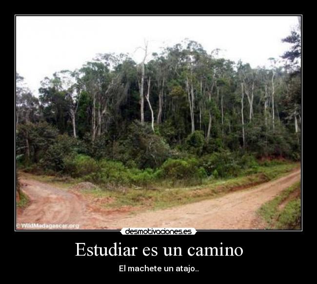 Estudiar es un camino -