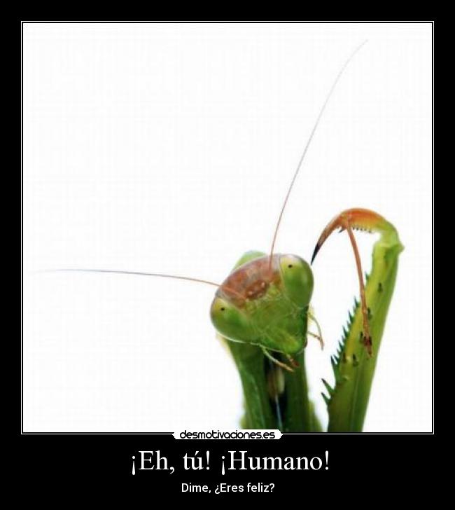 ¡Eh, tú! ¡Humano! - Dime, ¿Eres feliz?