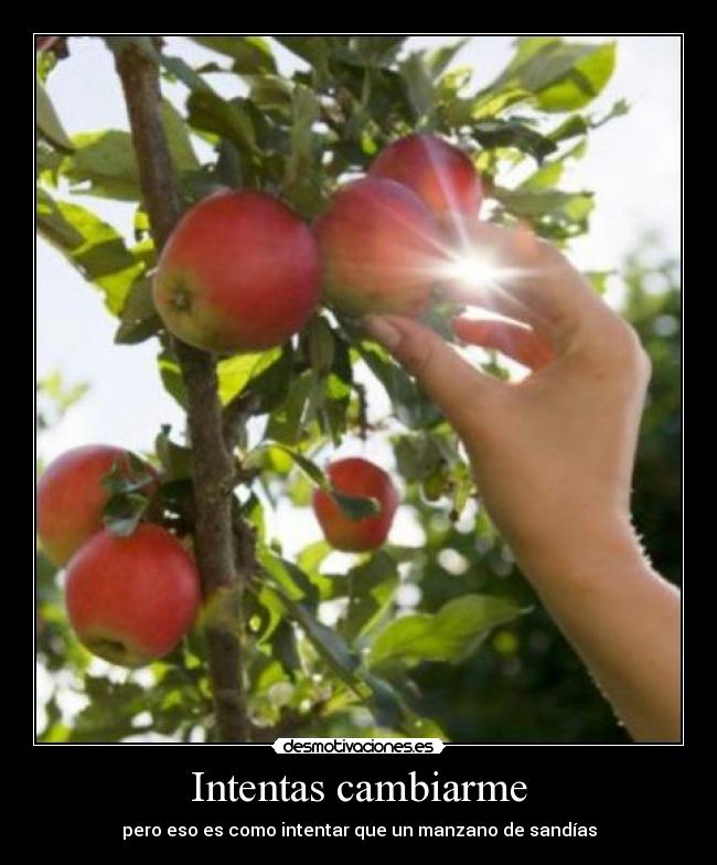 carteles desmotivaciones