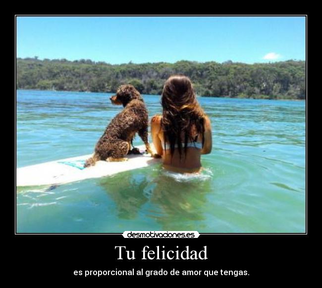 carteles felicidad love desmotivaciones