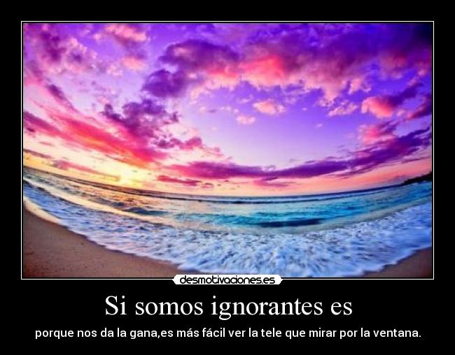 Si somos ignorantes es - 