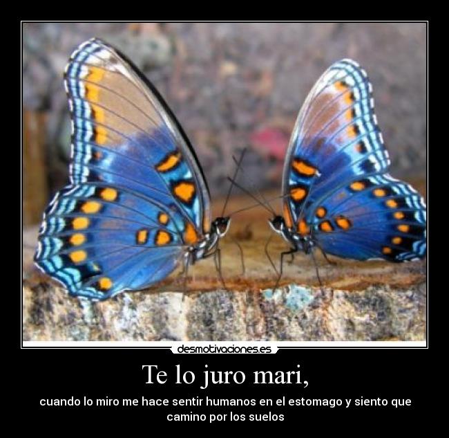 Te lo juro mari, -