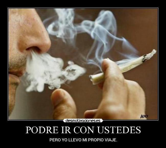 PODRE IR CON USTEDES - PERO YO LLEVO MI PROPIO VIAJE.