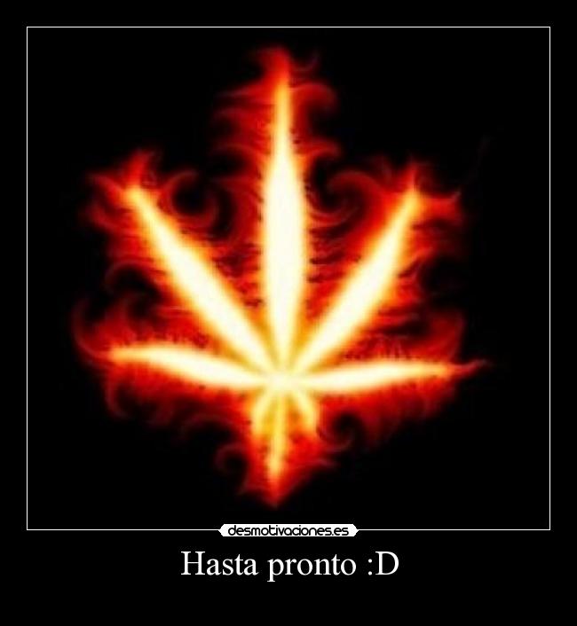 Hasta pronto :D - 