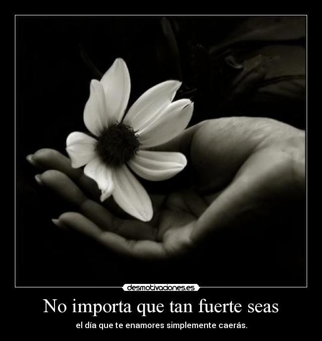 No importa que tan fuerte seas - el día que te enamores simplemente caerás.