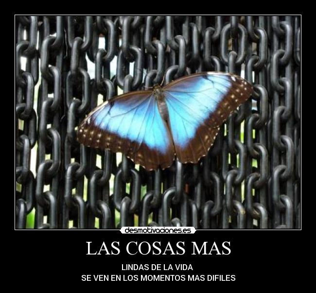 LAS COSAS MAS -
