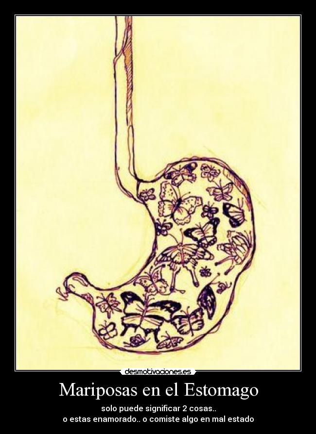Mariposas en el Estomago -
