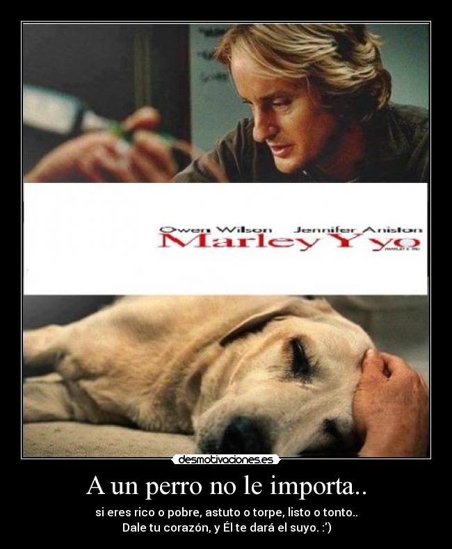 A un perro no le importa.. - si eres rico o pobre, astuto o torpe, listo o tonto..
Dale tu corazón, y Él te dará el suyo. :)