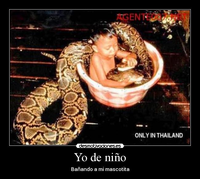 carteles mascotita desmotivaciones