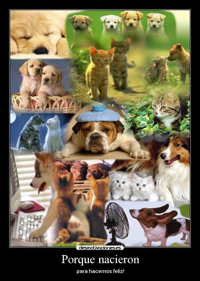 carteles duke desmotivaciones