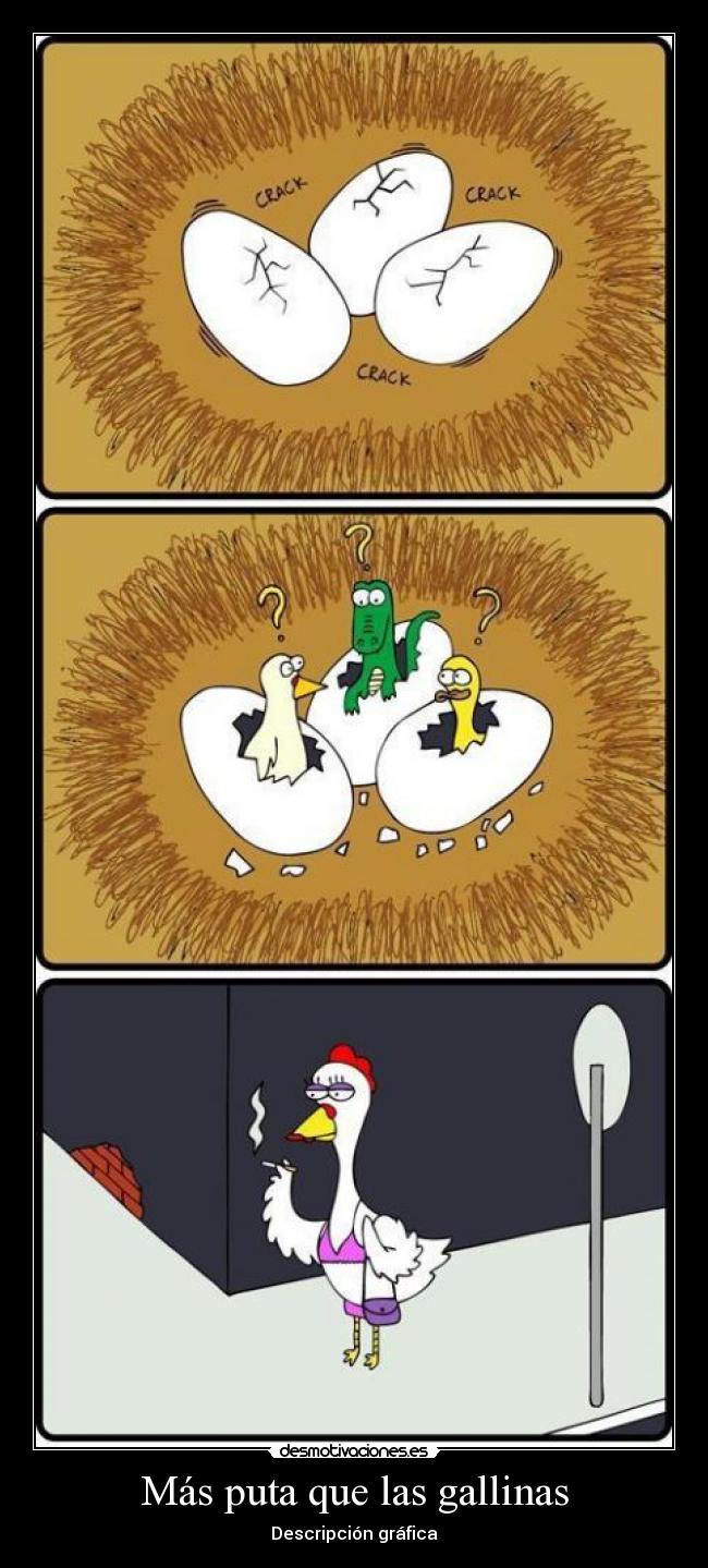 Más puta que las gallinas - Descripción gráfica