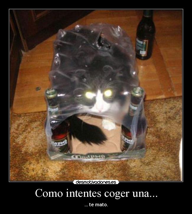 Como intentes coger una... - ... te mato.