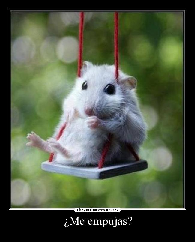 carteles sisisisisisisisi desmotivaciones