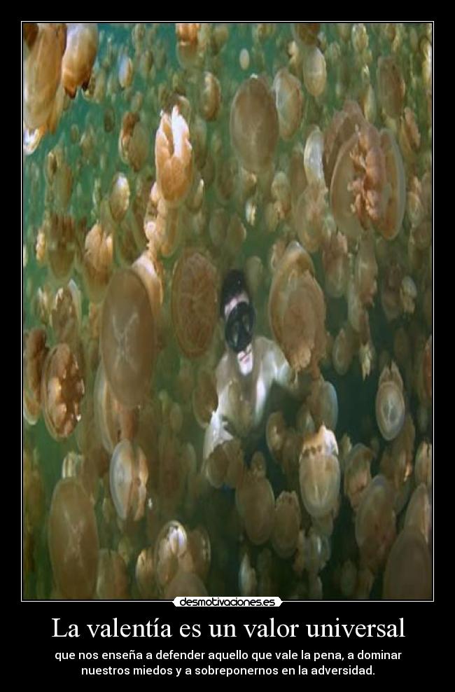 La valentía es un valor universal - que nos enseña a defender aquello que vale la pena, a dominar
nuestros miedos y a sobreponernos en la adversidad.